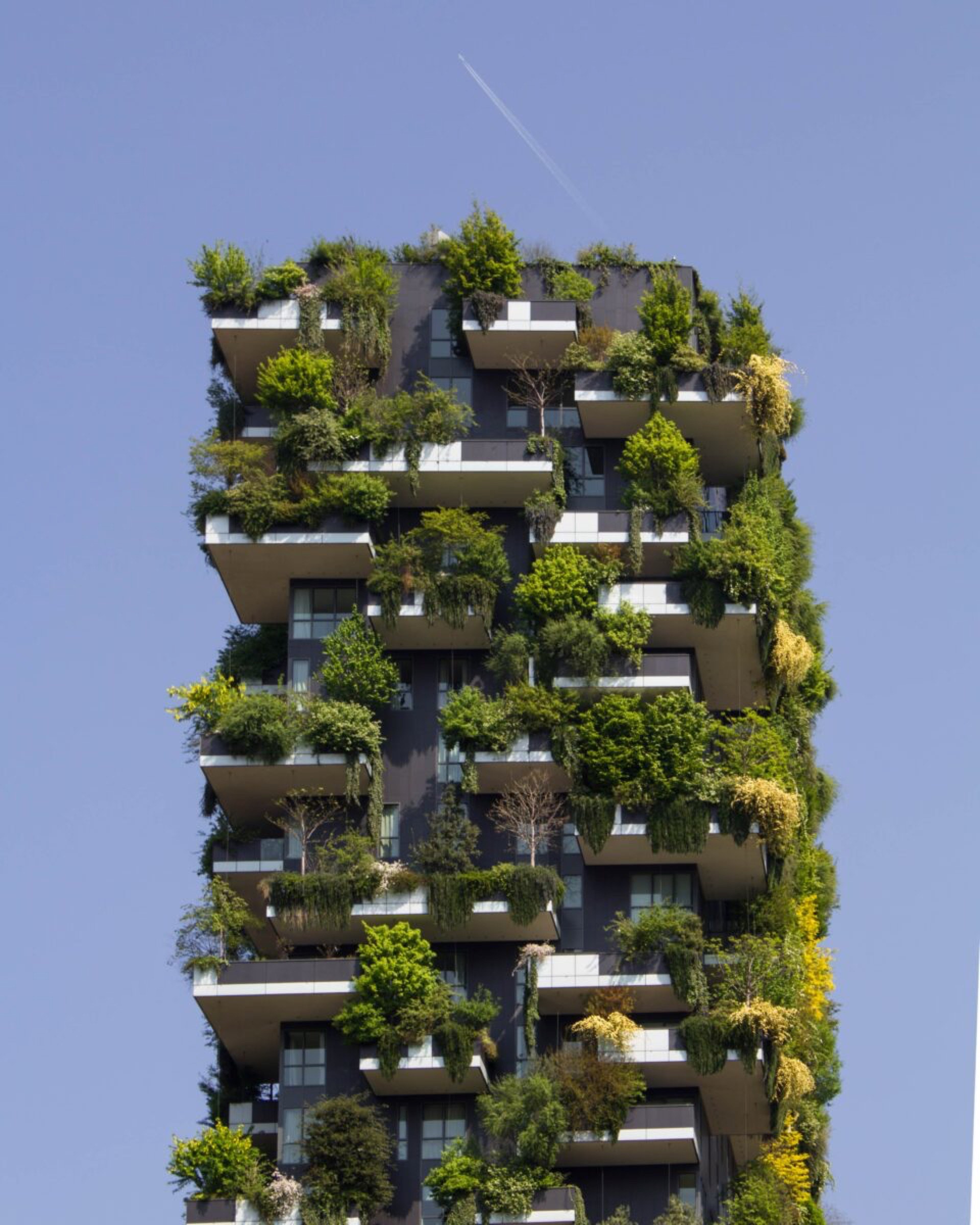 immeuble écologique arbres