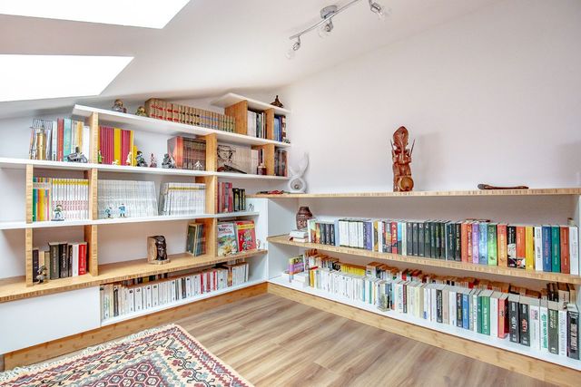 La biblioth&egrave;que du collectionneur