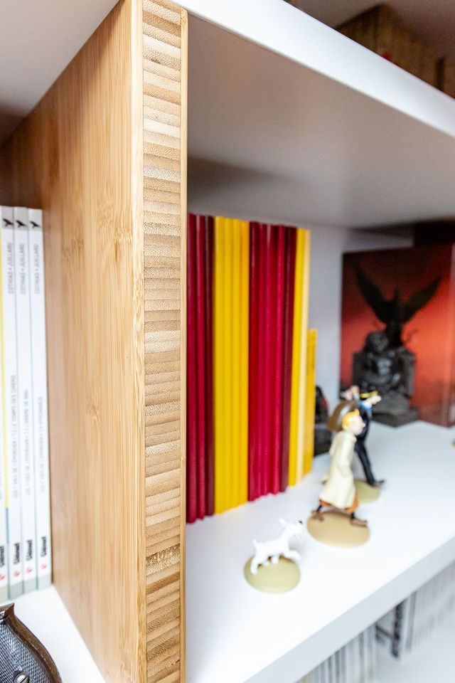 La biblioth&egrave;que du collectionneur &mdash;&nbsp;d&eacute;tail 2