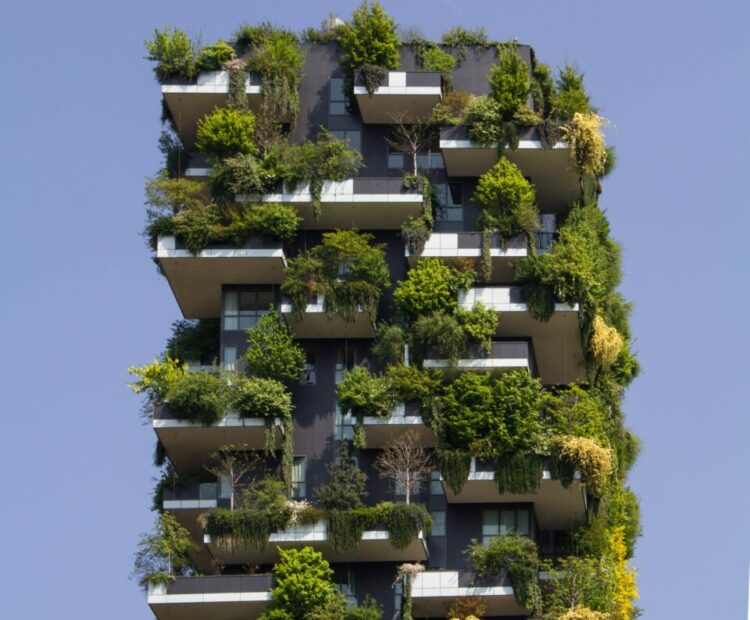 immeuble écologique arbres